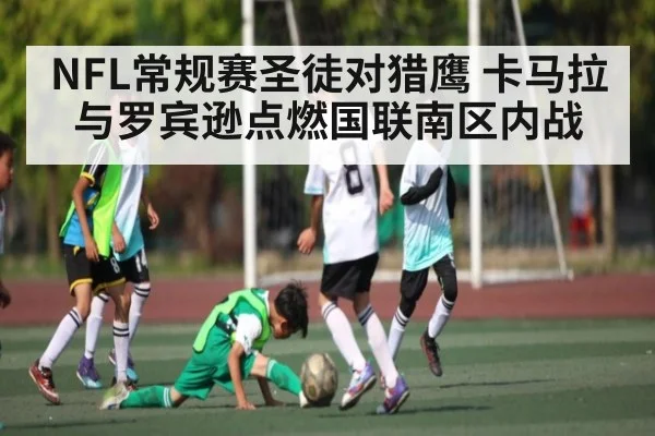 NFL常规赛圣徒对猎鹰 卡马拉与罗宾逊点燃国联南区内战